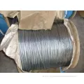 DIP Galvanized Steel Rope 1X7 with High Quality